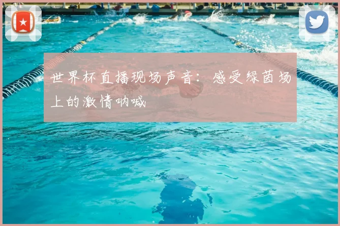 世界杯直播现场声音:感受绿茵场上的激情呐喊