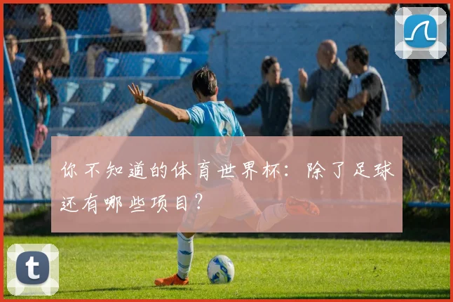 你不知道的体育世界杯:除了足球还有哪些项目?