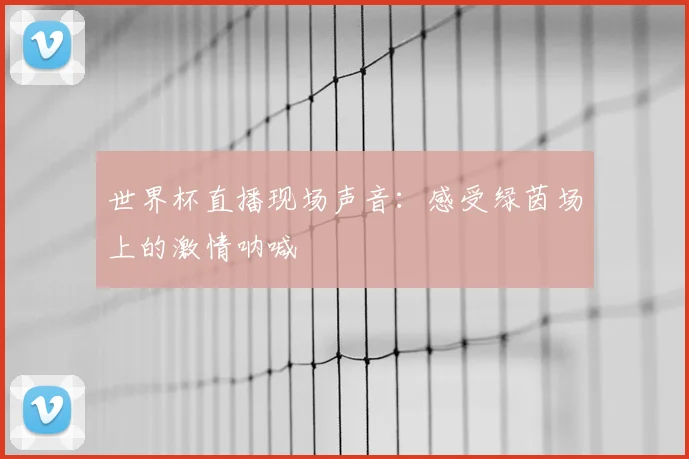 世界杯直播现场声音:感受绿茵场上的激情呐喊