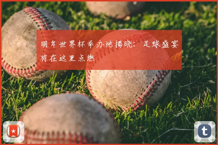 明年世界杯举办地揭晓：足球盛宴将在这里点燃