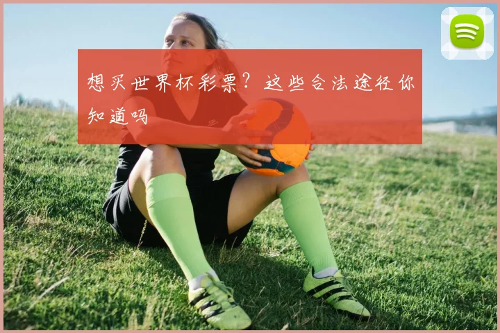想买世界杯彩票？这些合法途径你知道吗