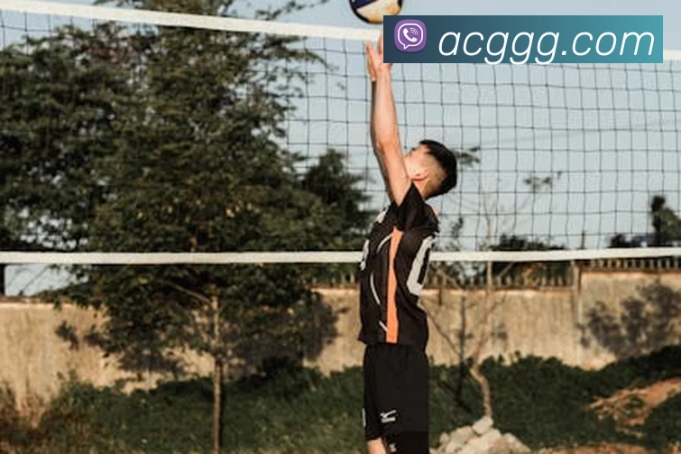 米乐官网-首页发展历程