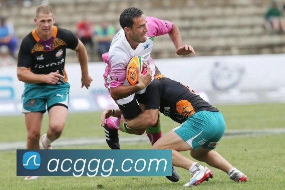 社区热议阿森纳吧青训体系：新星崛起如何影响球队未来